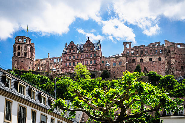Heidelberg Castle  Heidelberg, Germany  - May 21, 2016: The ruins of the massivev Heidelberg castle (1214) sit on a high hill overlooking the old German university city. heidelberg germany stock pictures, royalty-free photos & images