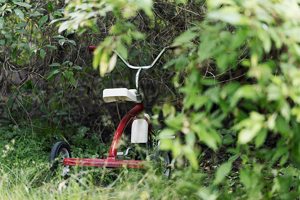 istock Tricycle in the Woods 543657566