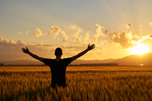 man with arms raised in wheat field posing in the sunset time with his arms raised.feeling complete.