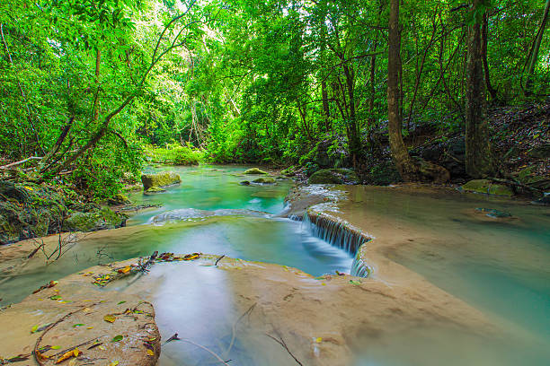 폭포 - waterfall erawan tropical rainforest tree 뉴스 사진 이미지