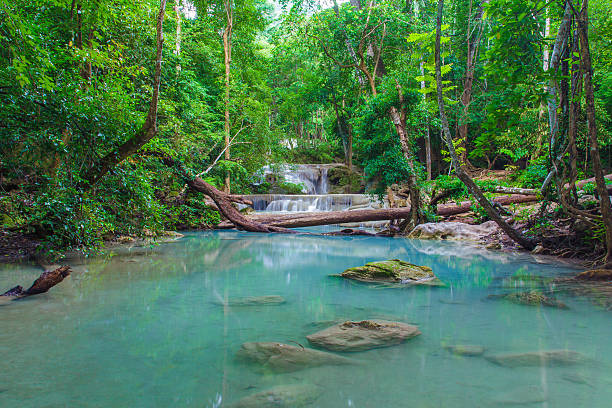 滝  - waterfall erawan tropical rainforest tree ストックフォトと画像