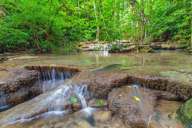 폭포 - waterfall erawan tropical rainforest tree 뉴스 사진 이미지