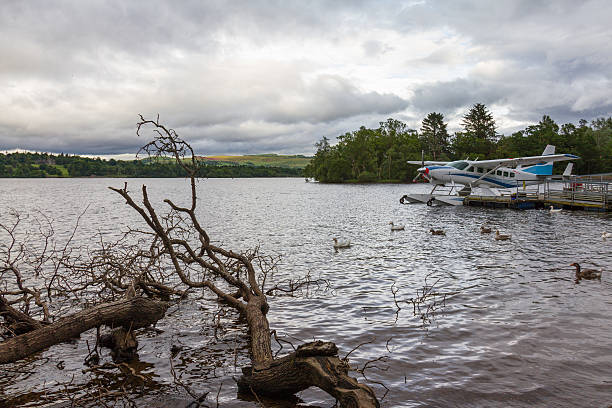 istock Cut tree branches and hydroplane in lake Loch Lomond 543661896