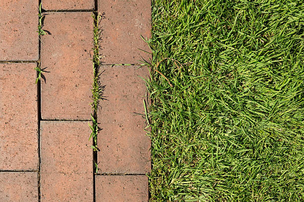 istock Detail of brown brick pavement and grass 543662742