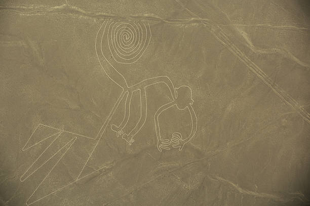 Nazca Insectoids 3,900+ Nazca Stock Photos, Pictures & Royalty-Free Images - iStock