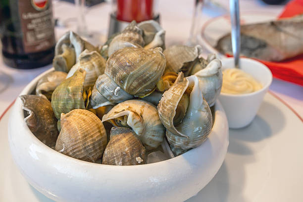 istock Closeup clams in dish 543669446