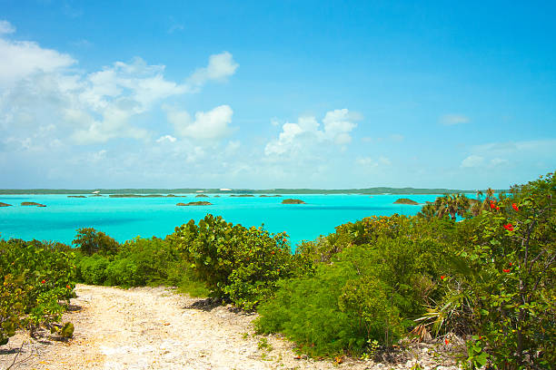 Turquoise Water in the Caribbean Chalk Sound, Turks and Caicos Islands providenciales stock pictures, royalty-free photos & images