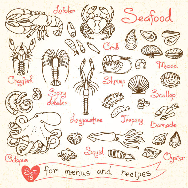 Set disegni di frutti di mare per menu di design, ricette, packaging e - illustrazione arte vettoriale
