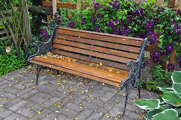 Wooden garden bench on patio with purple clematis flowers