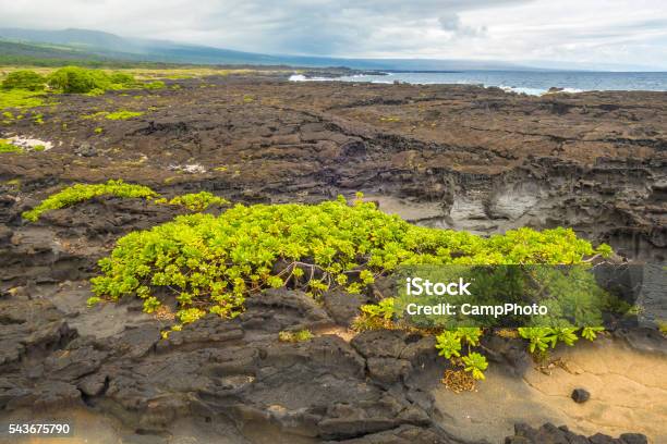 Cooled Lava Flow Stock Photo - Download Image Now - Beauty In Nature, Big Island - Hawaii Islands, Geology