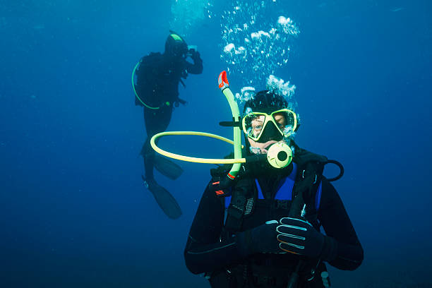 istock Scuba diving     Underwater scene with two scuba diver in blue 543679732