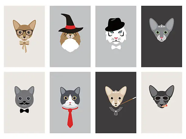 Vector illustration of hipster, portrait of cat, gentlemen cat