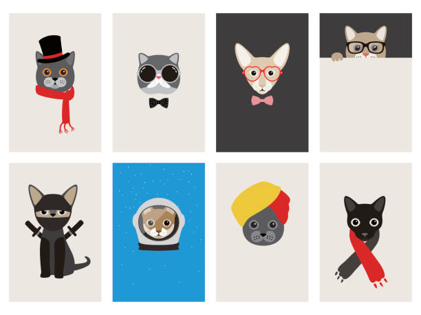 ilustraciones, imágenes clip art, dibujos animados e iconos de stock de hipster, retrato de gato, caballeros gato - kitten color image cute feline