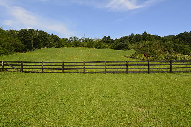 istock meadow, wooden fence 543683218