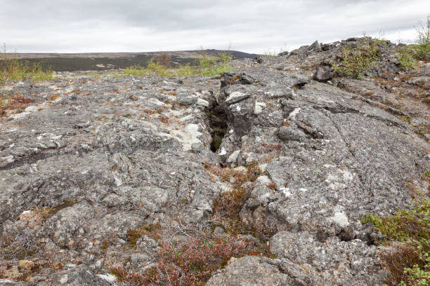 istock Lava field covered by moss and plants 543684342