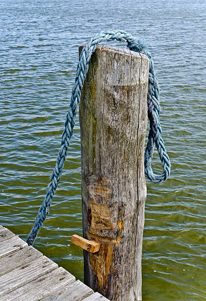 istock wooden stake and blue rope 543685188