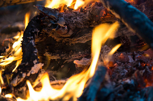 istock Bright flame of the burning bonfire close up 543687992