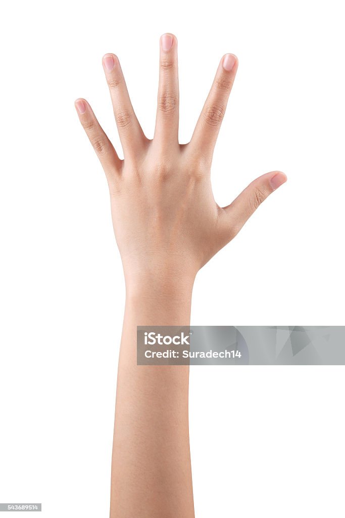 Woman hand showing the five fingers isolated Woman hand showing the five fingers isolated on a white background Rear View Stock Photo