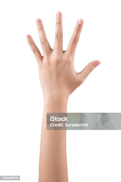 Woman Hand Showing The Five Fingers Isolated Stock Photo - Download Image Now - Rear View, Child, Women