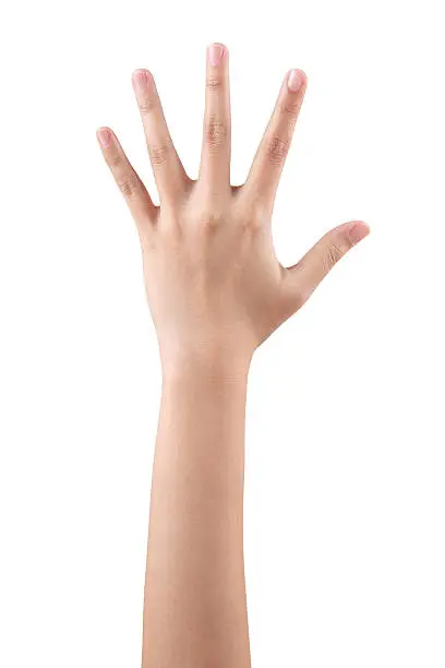 Photo of Woman hand showing the five fingers isolated