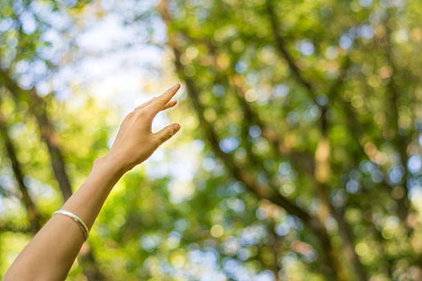 istock Woman hand reaching towards nature and sky 543690452