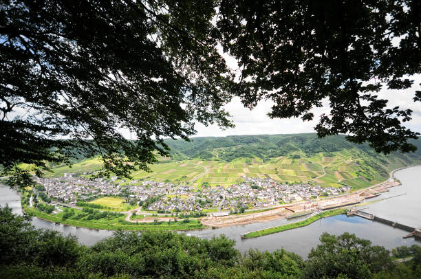 istock Mosel river with vineyard and small village. 543690506