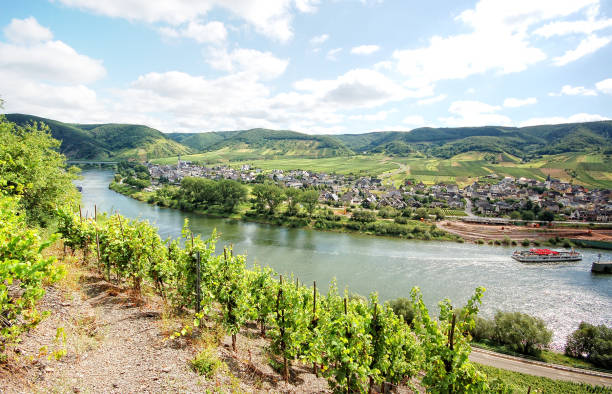 istock Mosel river with vineyard and small village. 543690640