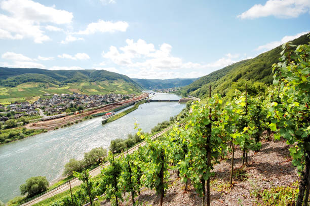 istock Mosel river with vineyard and small village. 543690658