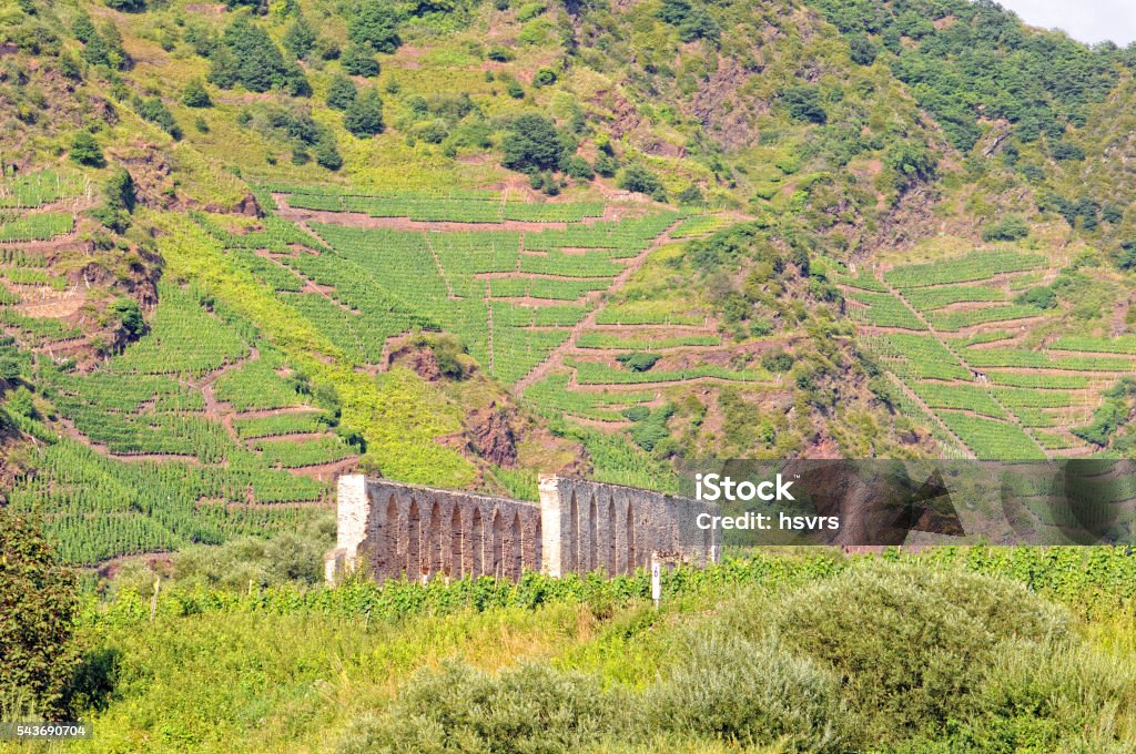 old monastery ruin in Stuben at mosel river old monastery ruin in Stuben at mosel river, germany. vineyard all around. Antique Stock Photo