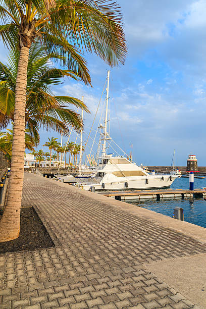 istock Palm trees in Caribbean style port 543691406