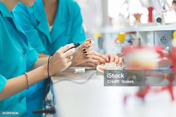 Female Students Learning Prosthetic Dentistry Stock Photo - Download Image Now - Dental Health, Prosthetic Equipment, Laboratory