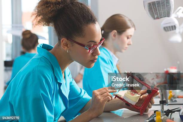Female Students Learning Prosthetic Dentistry Stock Photo - Download Image Now - Dental Health, Dental Equipment, Student