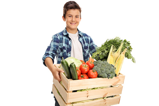 Joyful child carrying a wooden crate full of fresh vegetables isolated on white background