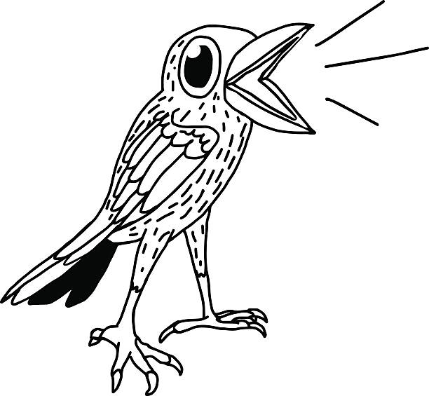 ilustraciones, imágenes clip art, dibujos animados e iconos de stock de pájaro entero en twitter - wrexham