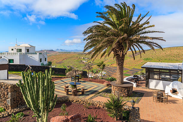 istock Tropical plants on Mirador de Los Valle viewpoint 543804300