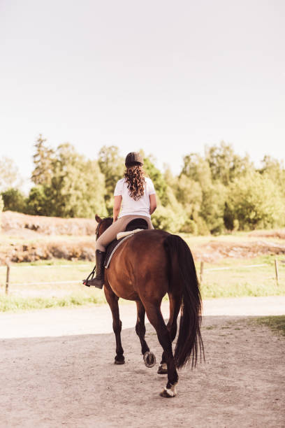 istock Young girl and her horse outdoors in summer 543804312