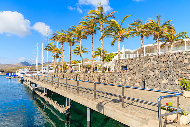 istock Palm trees in Puerto Calero marina 543808238