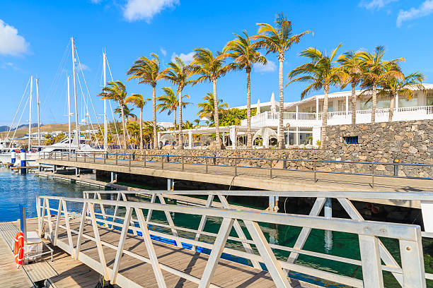 istock Palm trees in Puerto Calero marina 543808278