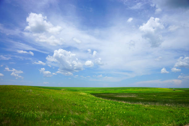 istock Rolling Grassland Prairie in North Dakota USA 543811050