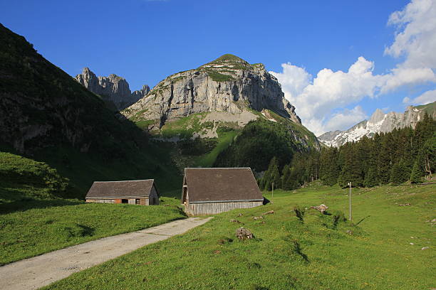 istock Saxer First, mountain in Appenzell Canton 543811726