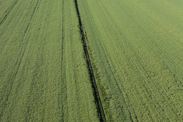 istock aerial view of harvest fields 543813354
