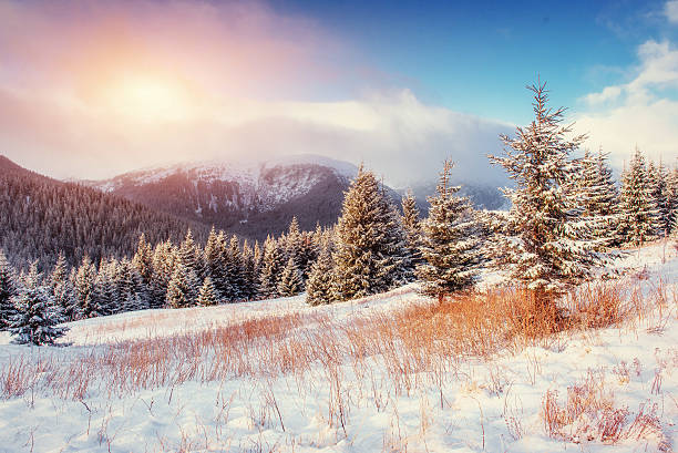 istock Mysterious Winter landscape with fog, 543813932