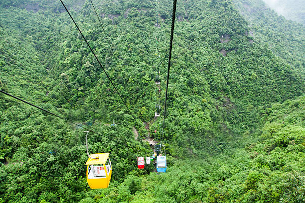 istock Tourism Scenic Tram 543818448