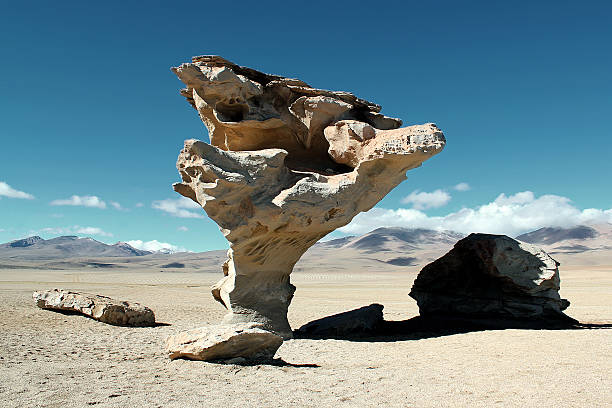 Stone Tree (Árbol de Piedra) stock photo