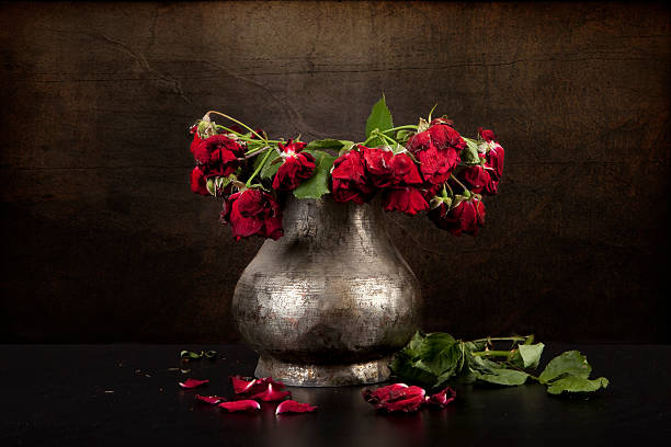 Photo of bouquet of dead red roses in silver vase, grunge background