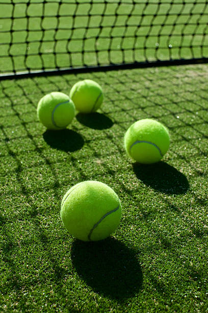 istock selective focus. tennis ball back light shadow on tennis grass 543820176