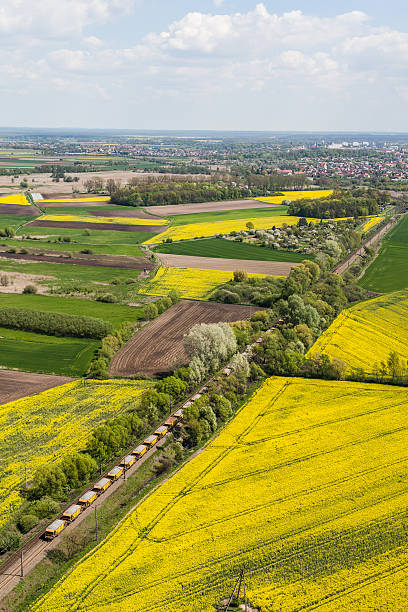 istock aerial view of harvest fields 543821956