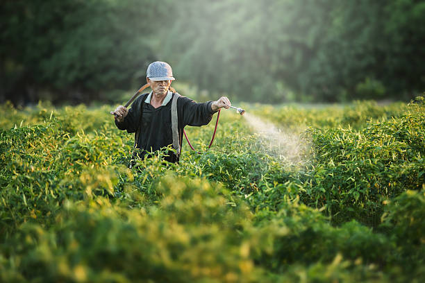 fumigación de agricultores - carcinogens fotografías e imágenes de stock