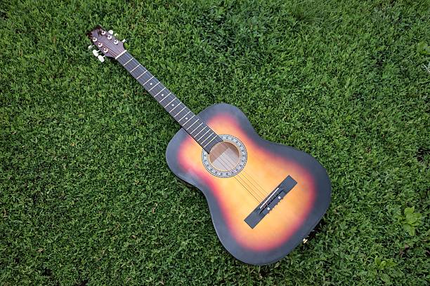 istock Acoustic guitar in the green grass 543826378