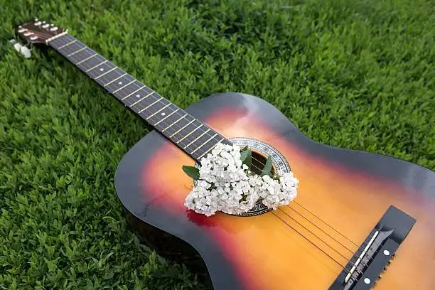 Photo of Acoustic guitar in the green grass